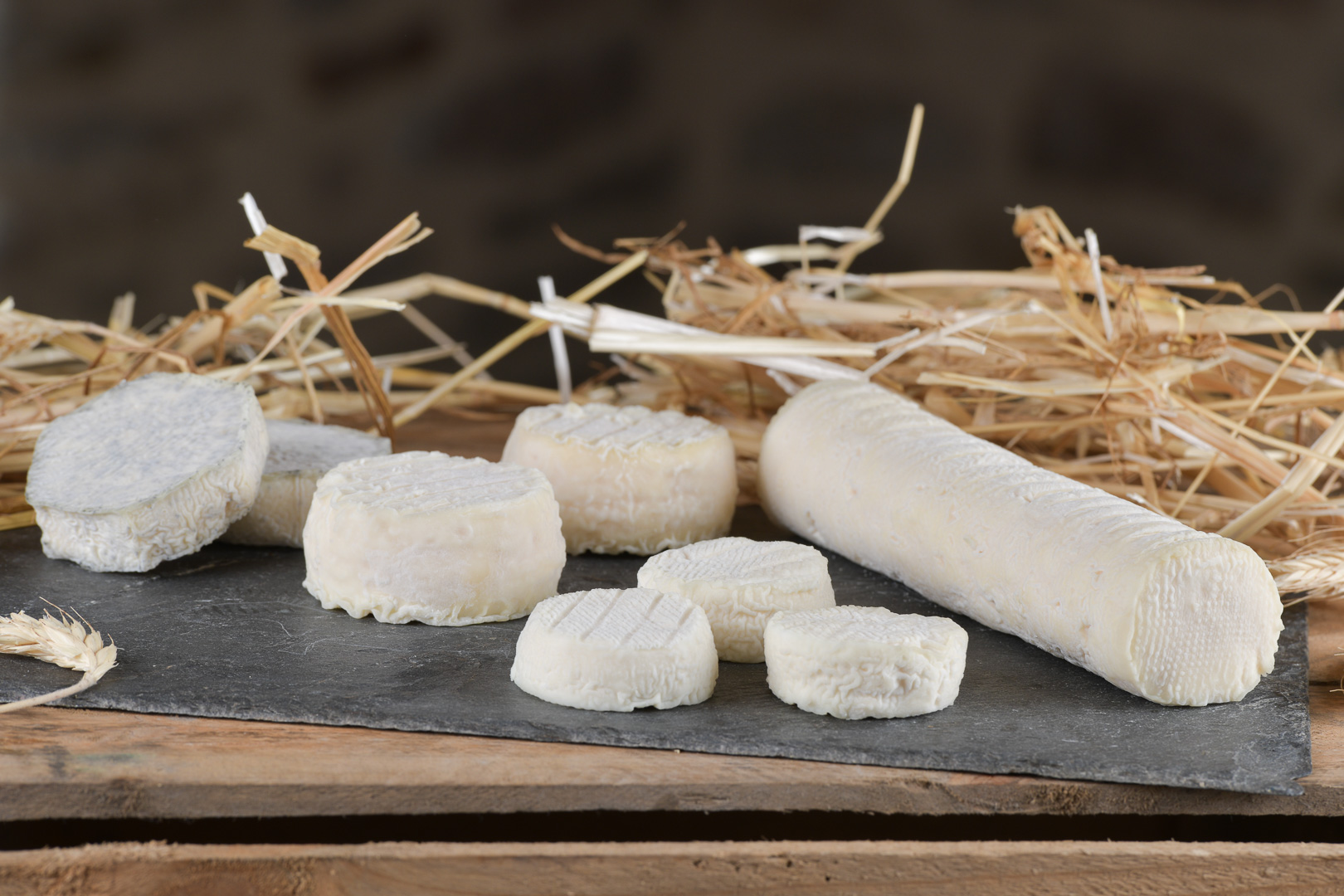 fromages-levezou-producteurs-aveyron©richard-storchi (161)